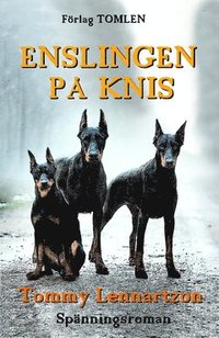 Enslingen på Knis (e-bok)