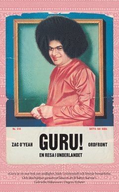 Guru! (e-bok)