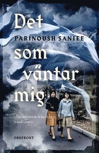 Det som vntar mig (e-bok)