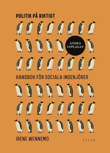 Politik p riktigt : handbok fr sociala ingenjrer (inbunden)