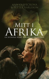 bästa kön afrikanska