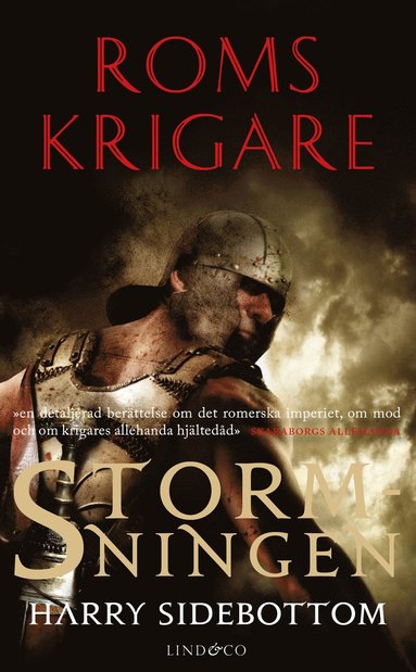 Stormningen (pocket)