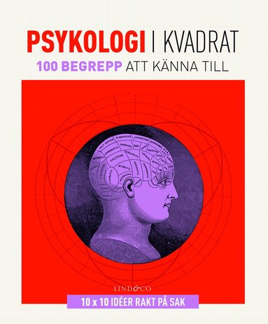Psykologi i kvadrat : 100 begrepp att knna till (hftad)