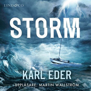 Storm (ljudbok)