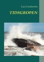 Tidsgropen (pocket)