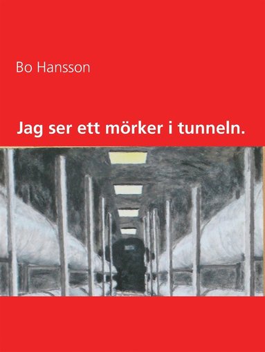 Jag ser ett mörker i tunneln. (ljudbok)