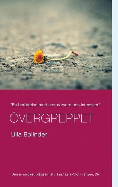 �vergreppet (inbunden)