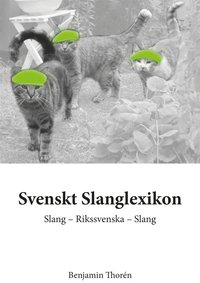 Svenskt Slanglexikon (e-bok)