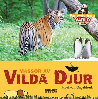 Massor av vilda djur (kartonnage)