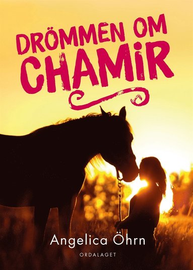 Drmmen om Chamir (e-bok)