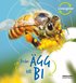 Fr�n �gg till bi