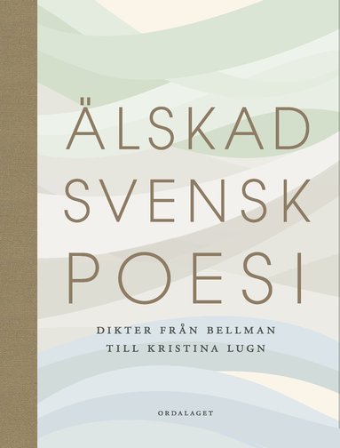 Leningrad viloyati, Koltushi, Vsevolojsk tumanidagi samimiy xizmatlar