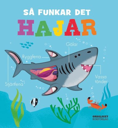 S funkar det : Hajar (kartonnage)