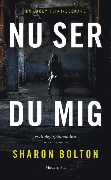 Nu ser du mig (e-bok)