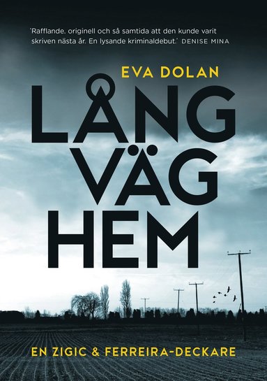 Lng vg hem (inbunden)
