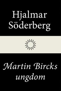 Martin Bircks ungdom (e-bok)