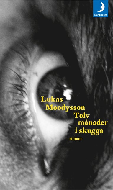 Tolv mnader i skugga (pocket)