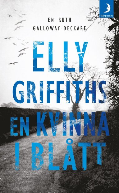 En kvinna i blått (inbunden)