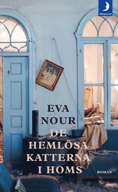 De hemlösa katterna i Homs (inbunden)