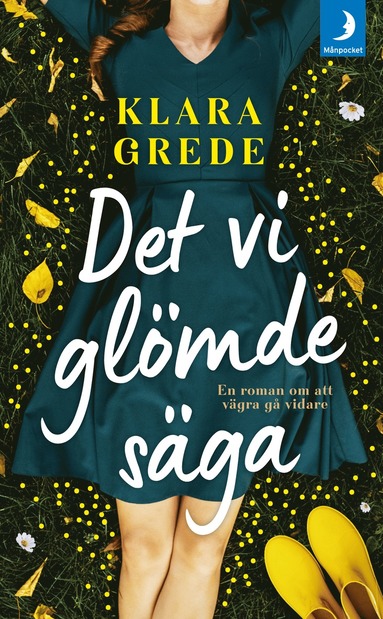 Det vi gl�mde s�ga (pocket)