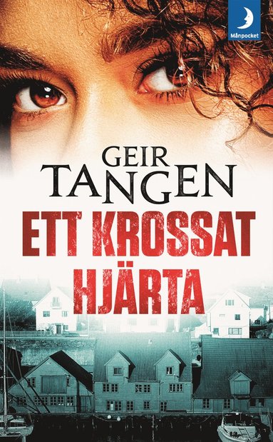 Ett krossat hjrta (pocket)