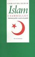 Islam i samhället : muslimsk politik i retorik och praktik
