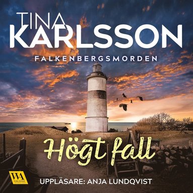 Hgt fall (ljudbok)