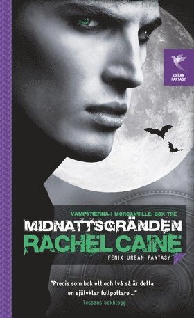 Midnattsgränden (pocket)