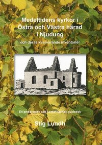 Medeltidens kyrkor i stra och Vstra hrad i Njudung och deras kvarvarande inventarier : en arkeologisk och konsthistorisk guidebok (hftad)