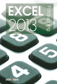Excel 2013 Frdjupning (e-bok)