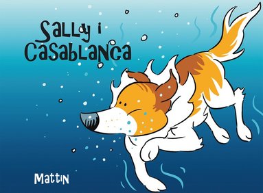 Sally i Casablanca (inbunden)