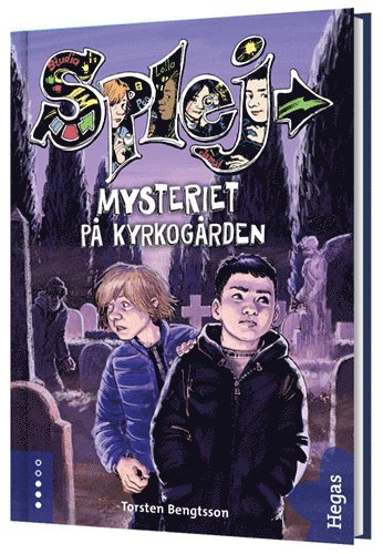 Mysteriet p kyrkogrden (inbunden)