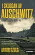 I skuggan av Auschwitz : förintelsen 1939-45