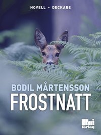Frostnatt (e-bok)