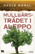 Mullb�rstr�det i Aleppo