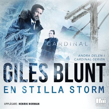 En stilla storm (ljudbok)