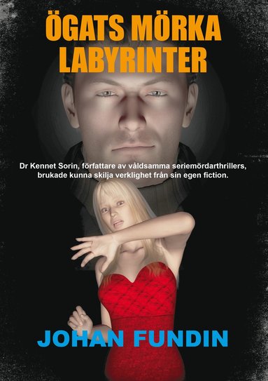 gats mrka labyrinter (pocket)