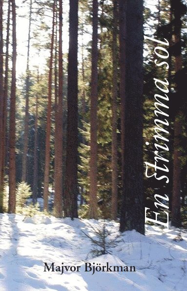 En strimma sol (inbunden)