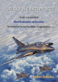 Vad ska jag skriva om? : en idé- och metodbok - bland Drakenplan och karoliner (häftad)