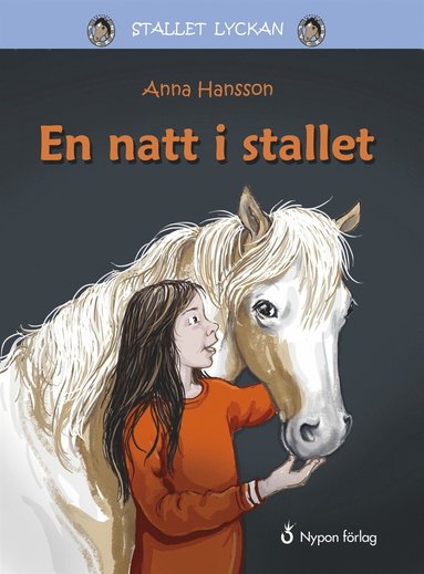 En natt i stallet (inbunden)
