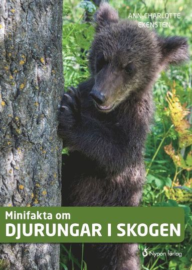 Minifakta om djurungar i skogen (inbunden)