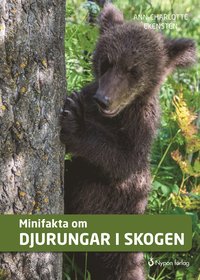 Minifakta om djurungar i skogen (e-bok)