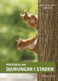 Omslag: Minifakta om djurungar i staden