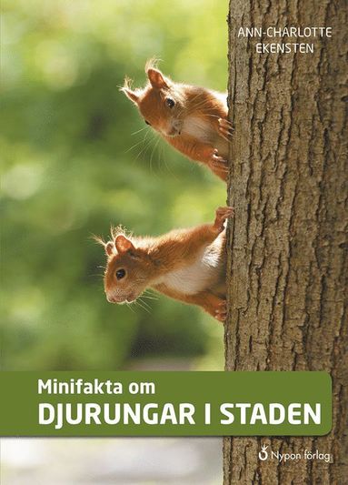 Minifakta om djurungar i staden (inbunden)