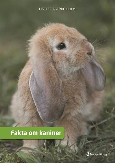 Fakta om kaniner (e-bok)