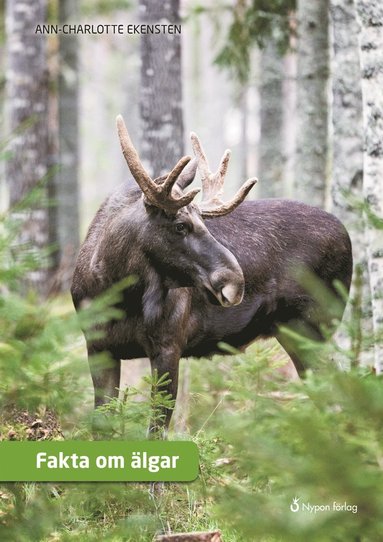 Fakta om lgar (kartonnage)