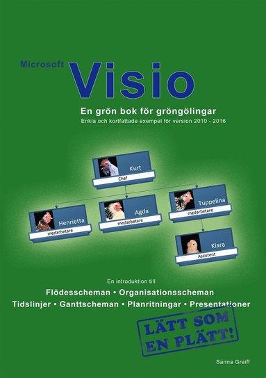 Microsoft Visio - En grn bok fr grnglingar: Fr version 2010 - 2016 (e-bok)