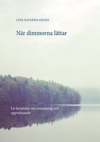 Nr dimmorna lttar: En berttelse om utmattning och uppvaknande (e-bok)