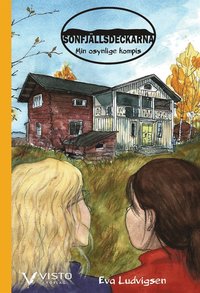 Min osynlige kompis (e-bok)