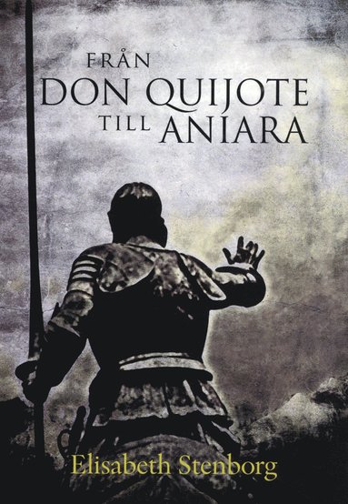 Frn Don Quijote till Aniara (inbunden)